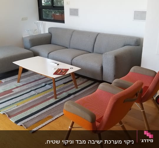 ספה אפורה על שטיח צבעוני בסלון מואר